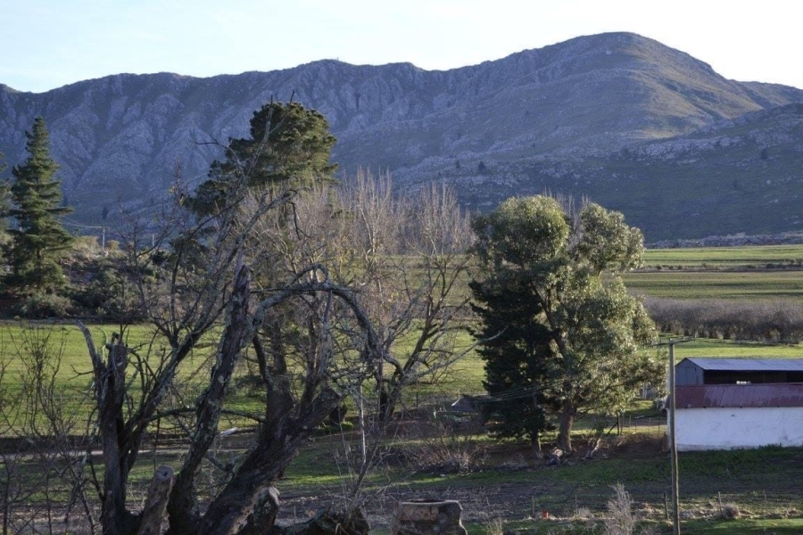 Commercial Property for Sale in Avontuur Western Cape